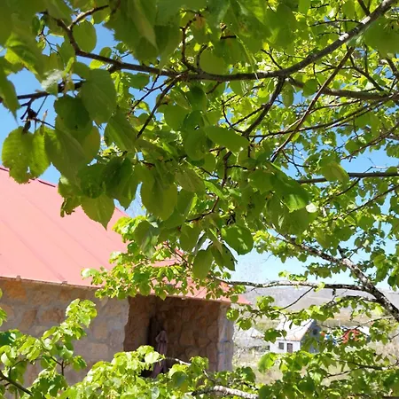 Hotel Fraga Da Estrela